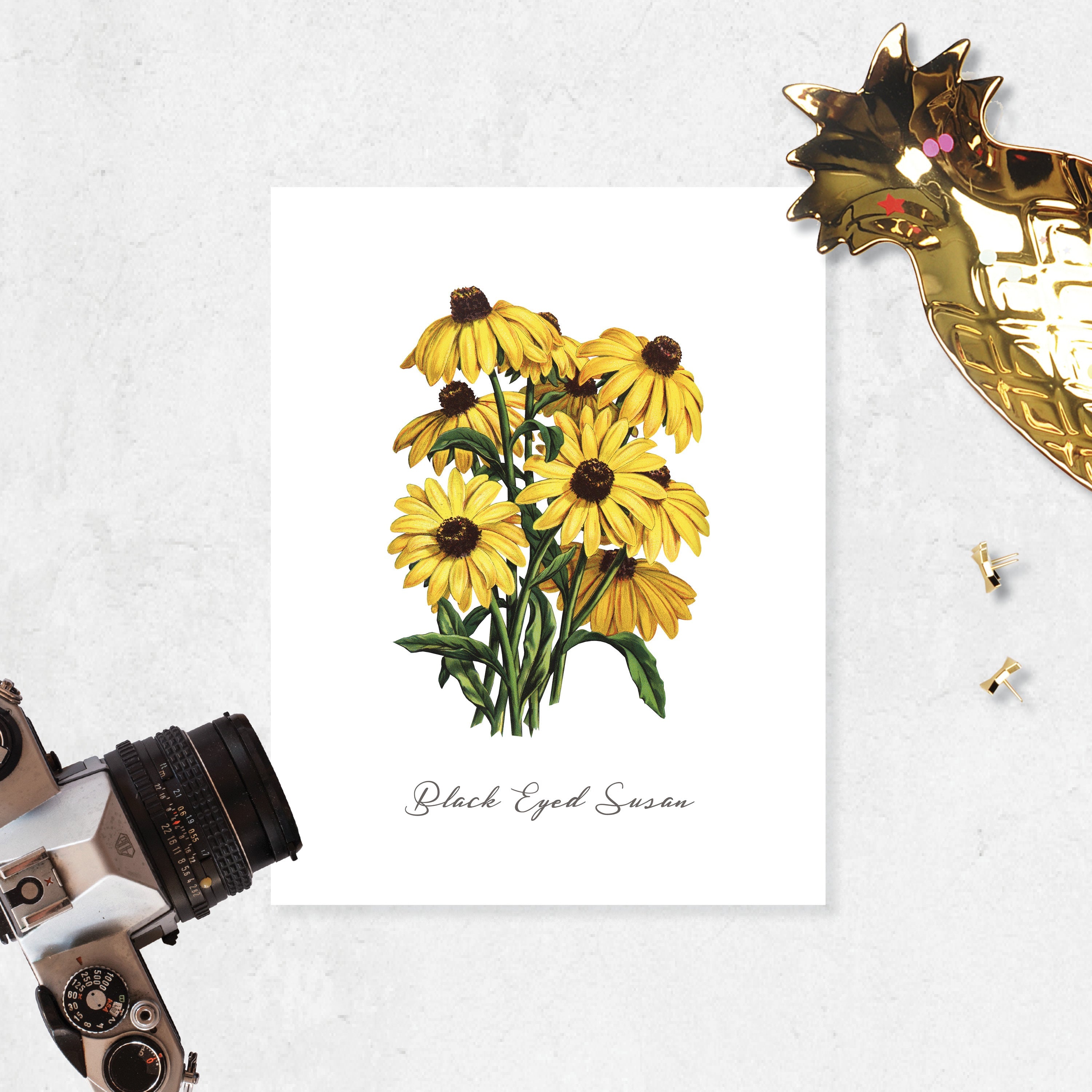 Black Eyed Susan
