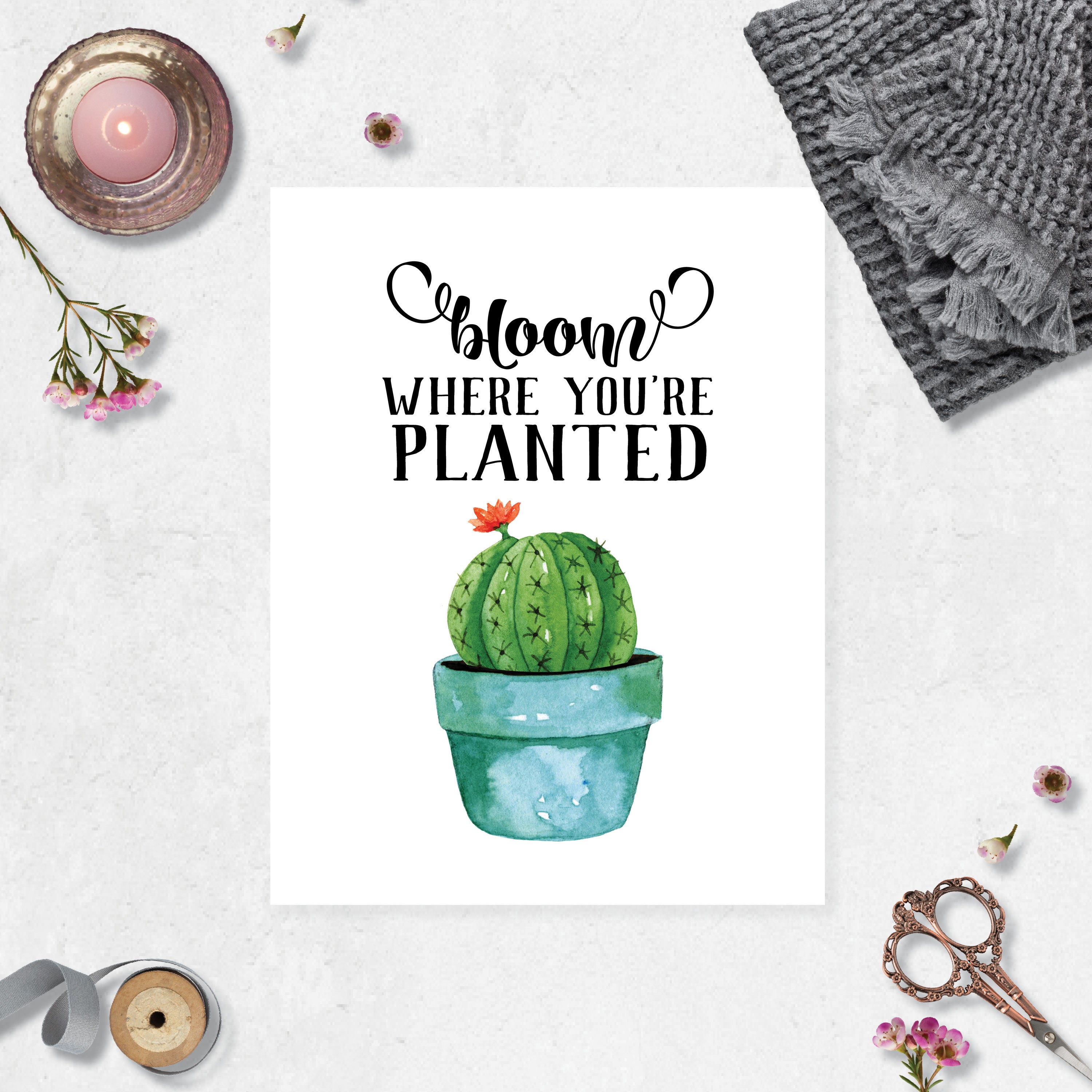 Bloom where you're planted