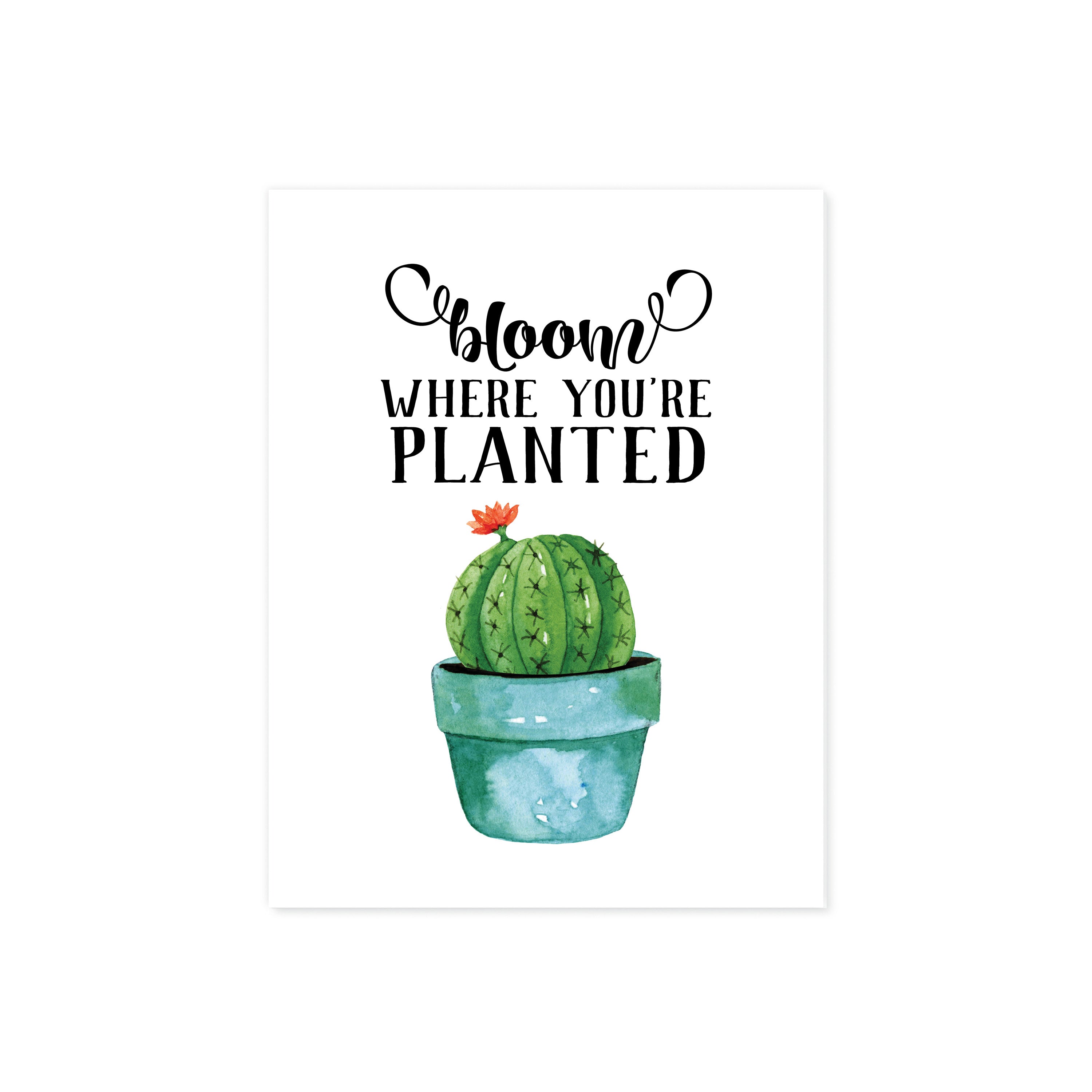 Bloom where you're planted