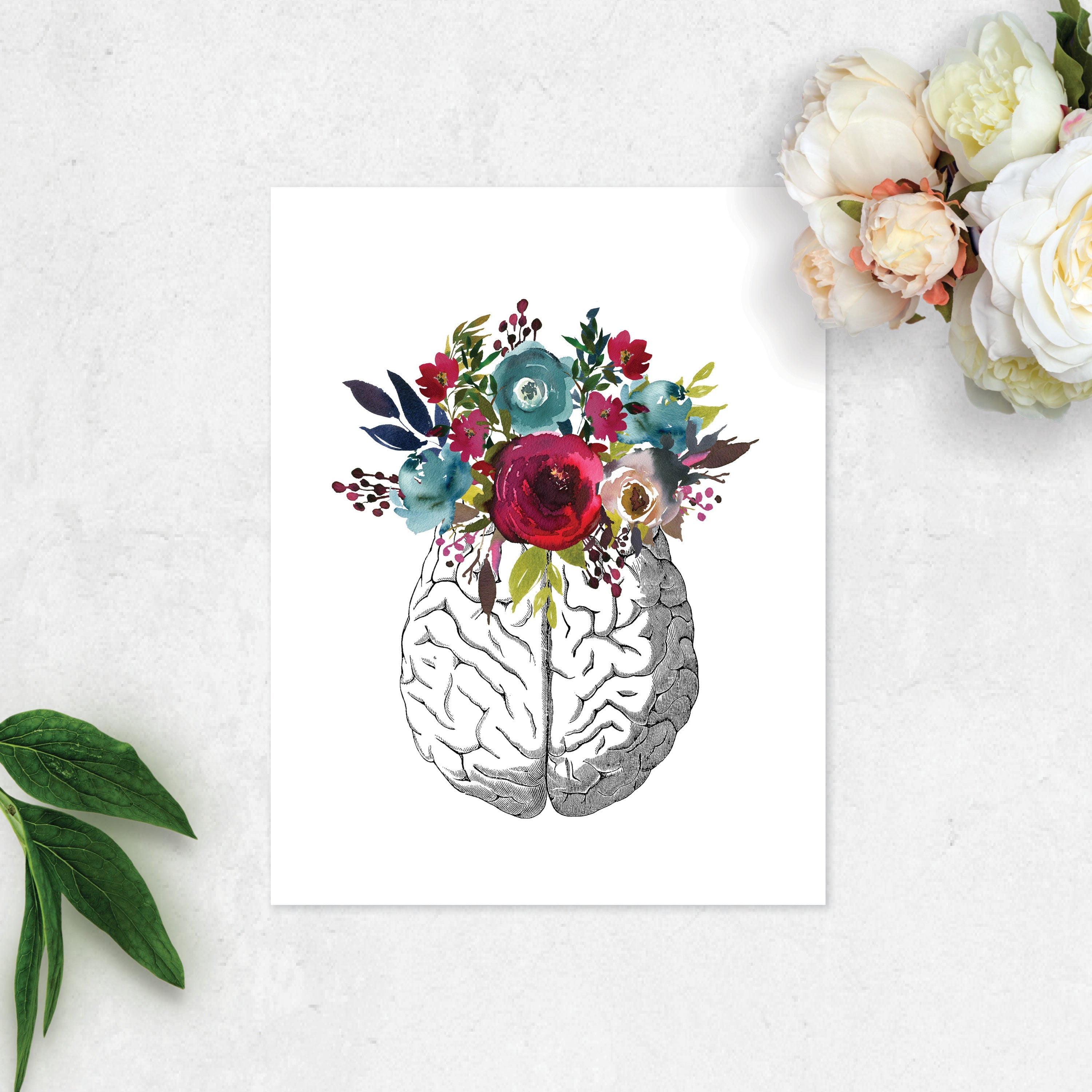 Brain Etching with Berry and Blue Watercolor Flowers on white