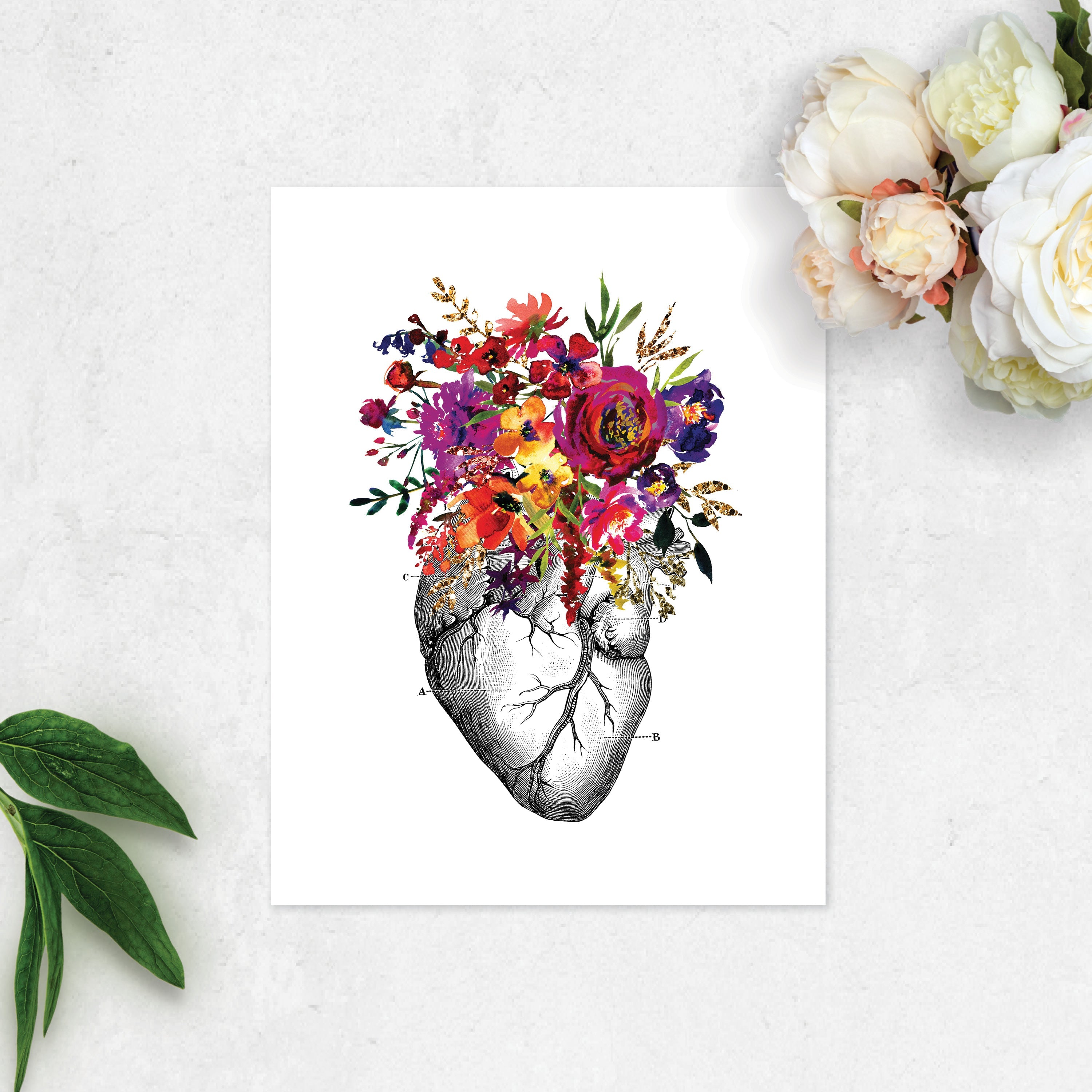Anatomical Heart with Pink, Purple, Yellow, and Golden Watercolor Tones on White