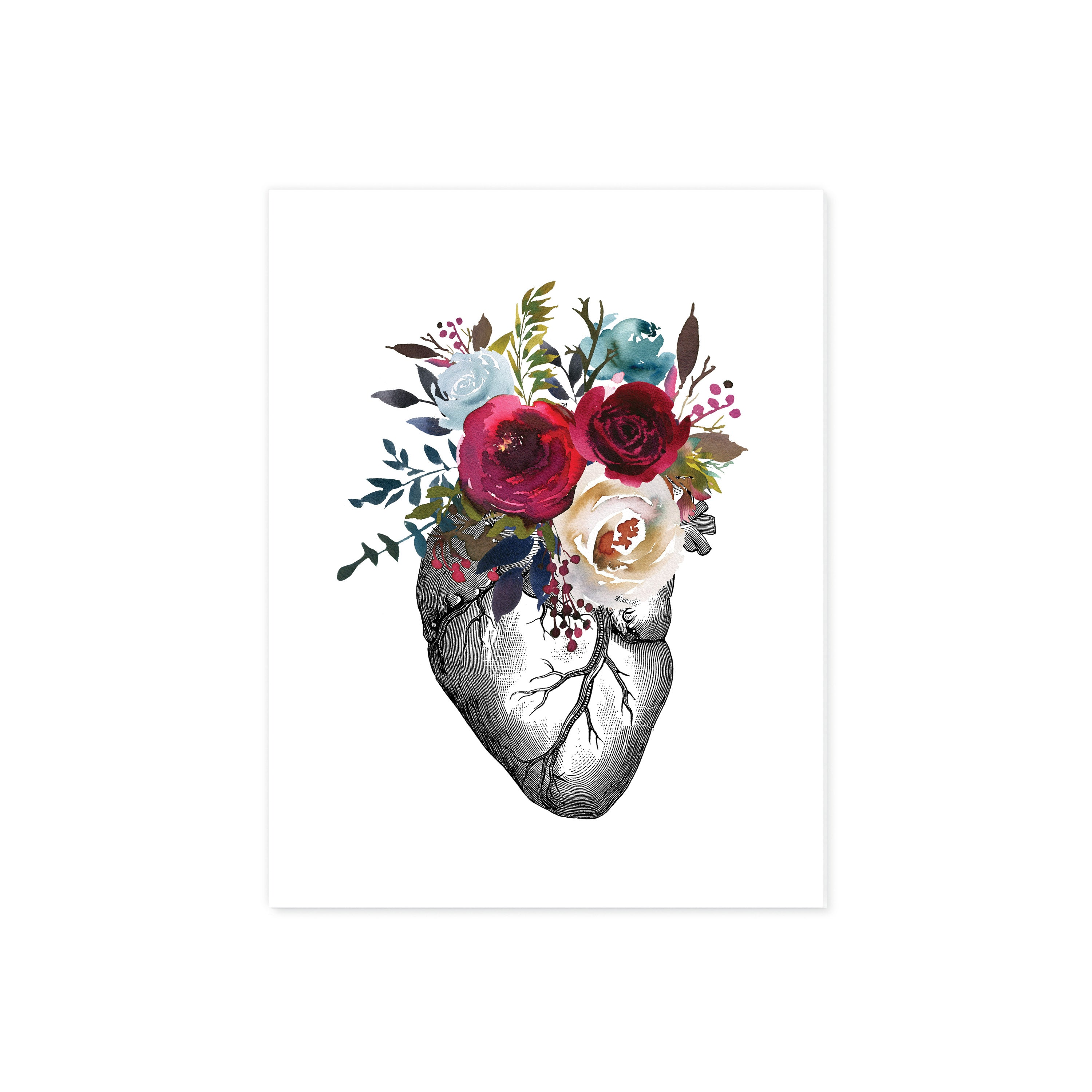 Anatomical Heart with Berry and Blue Watercolor Tones on White
