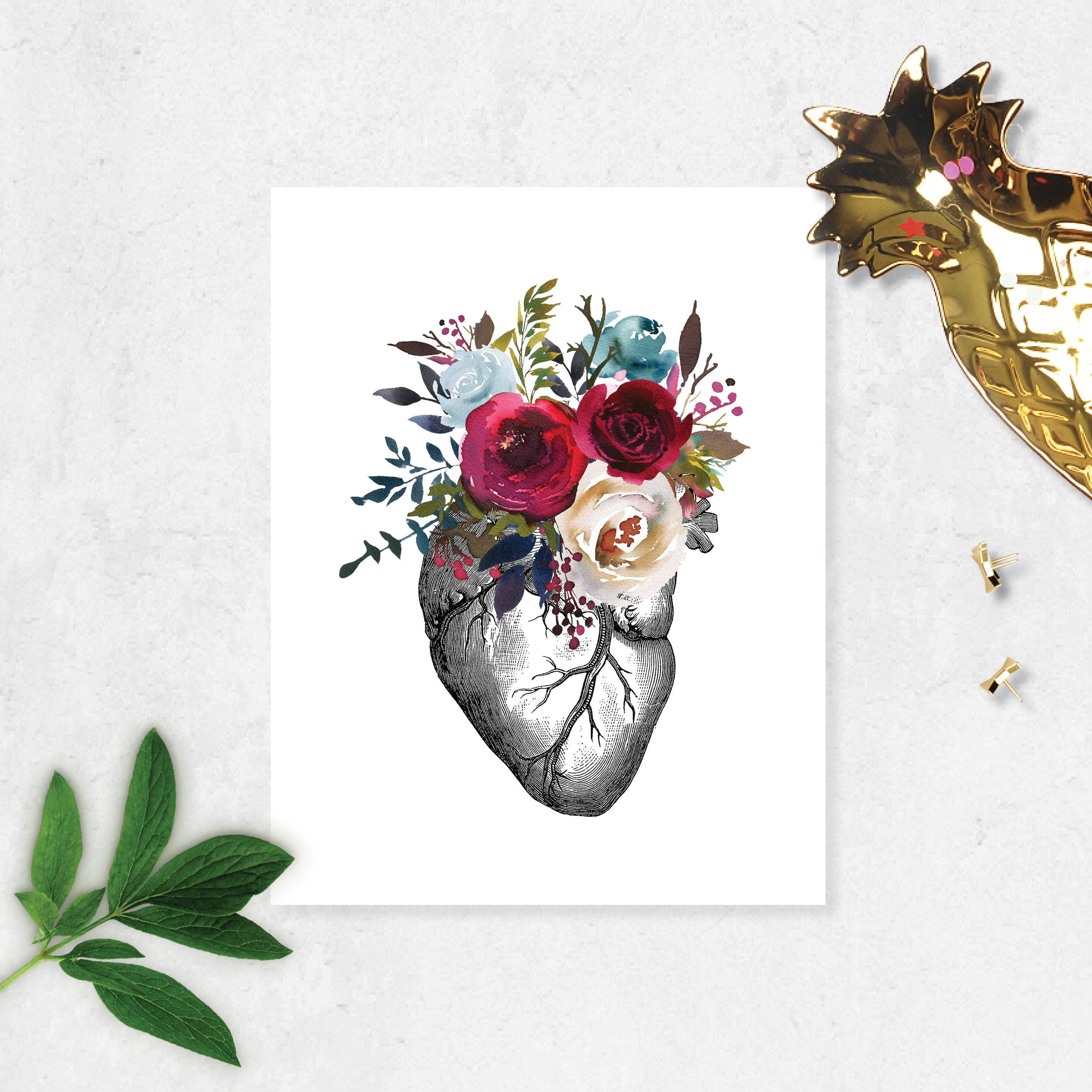 Anatomical Heart with Berry and Blue Watercolor Tones on White