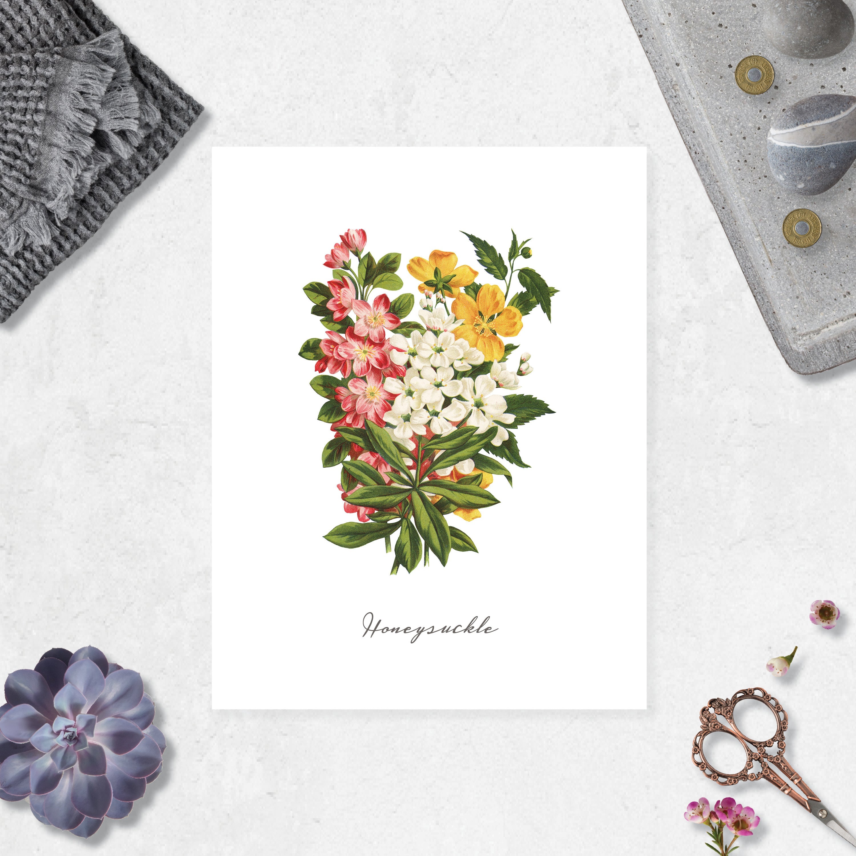 Honeysuckle