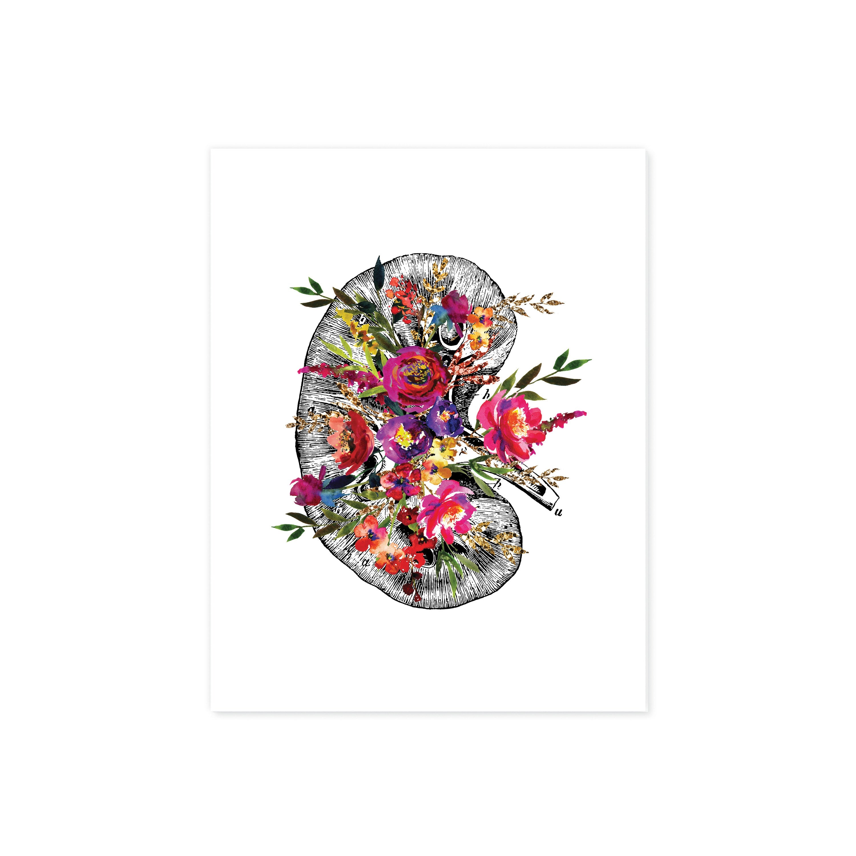 Anatomical Kidney with Pink, Purple, Yellow and Golden Watercolor Tones on White