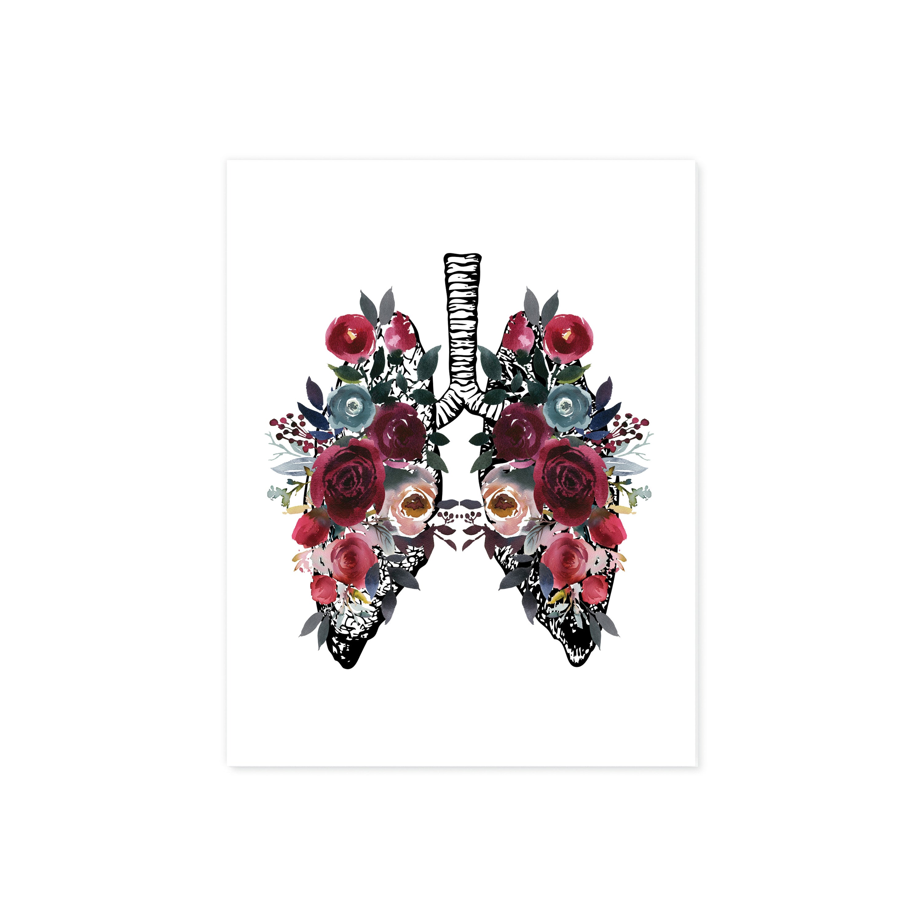 Vintage Lung Etching with Berry and Blue Watercolor Tones on White