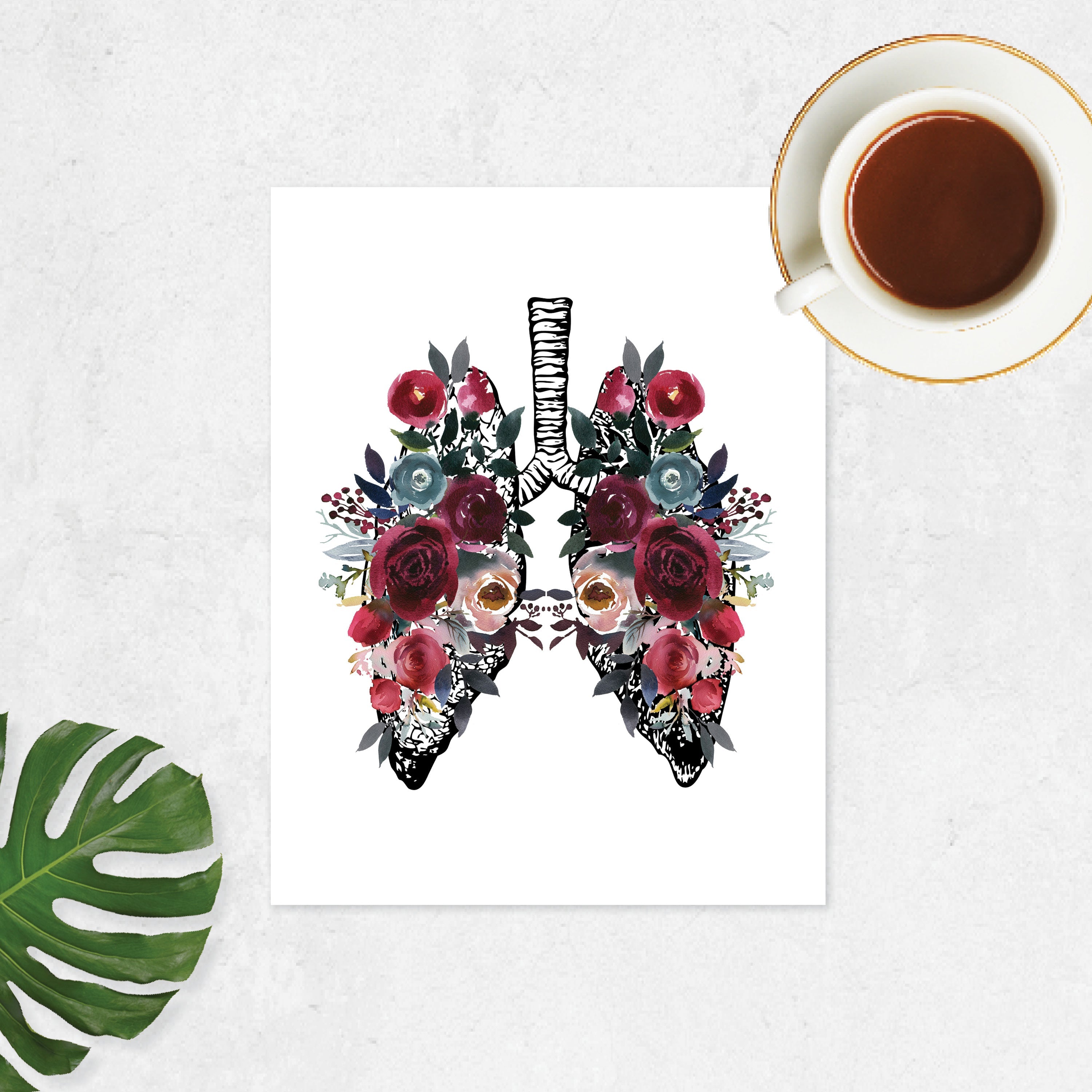 Vintage Lung Etching with Berry and Blue Watercolor Tones on White