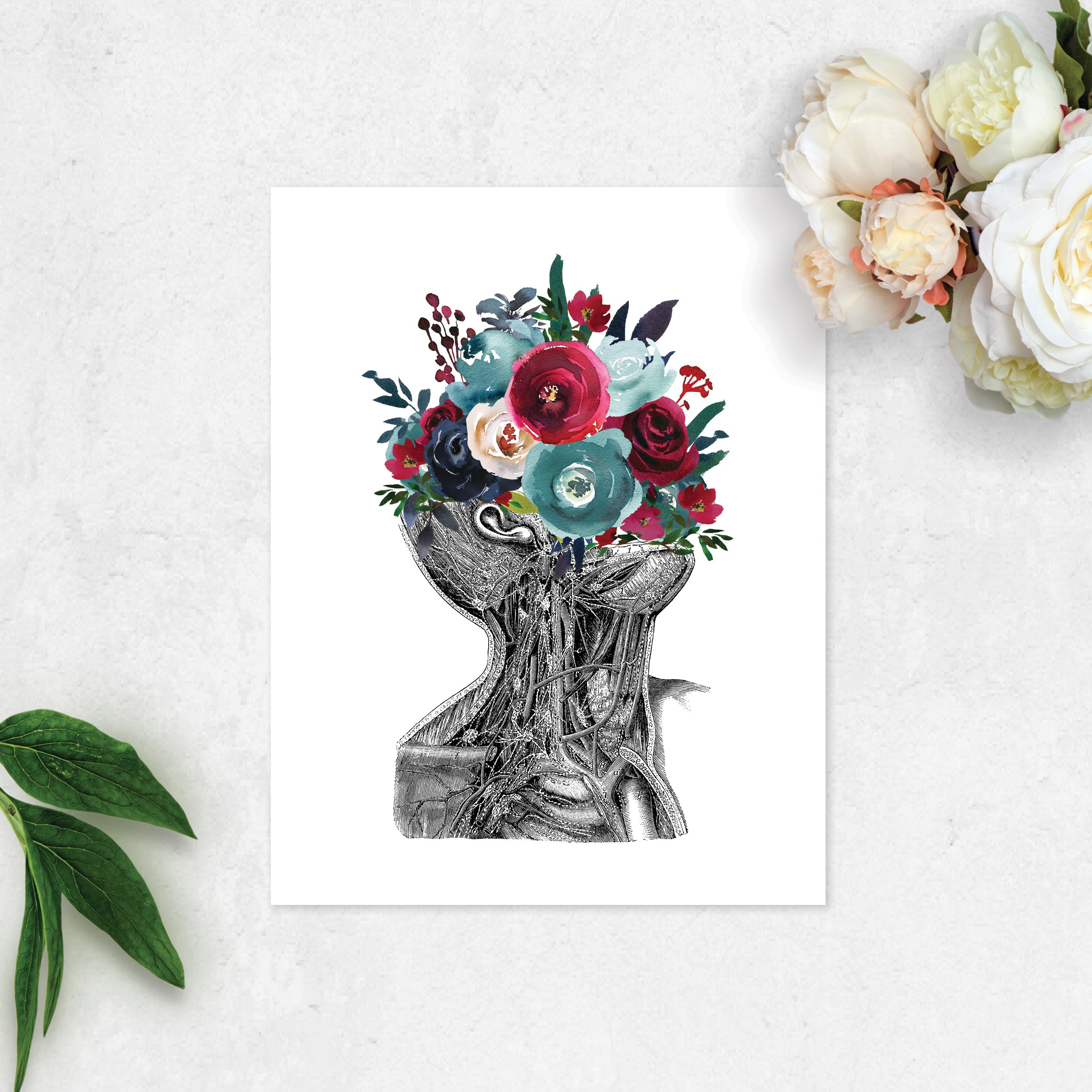 Anatomical Neck Etching with Flowers for the Face in Berry and Blue Watercolor Tones on White