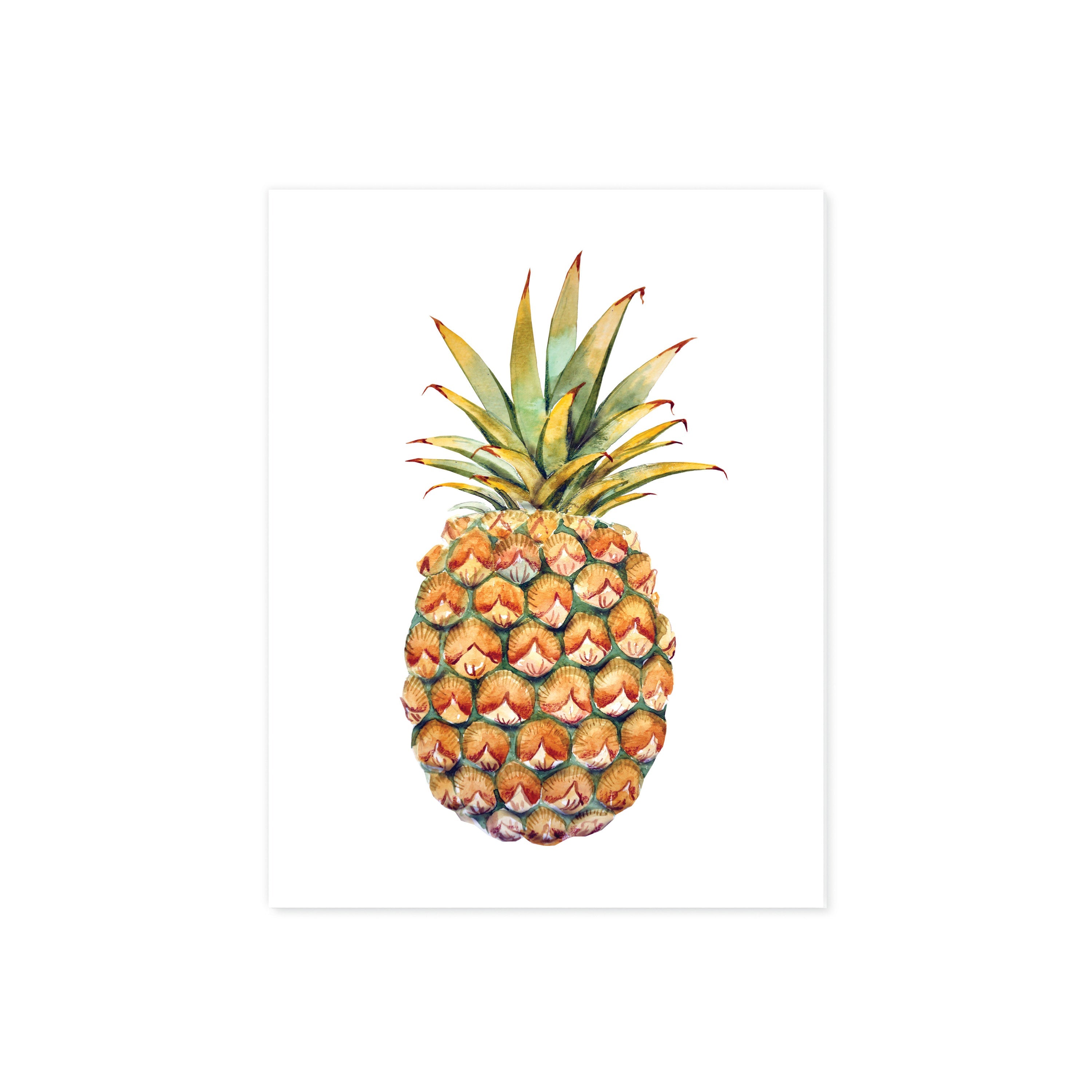 Pineapple in Watercolor