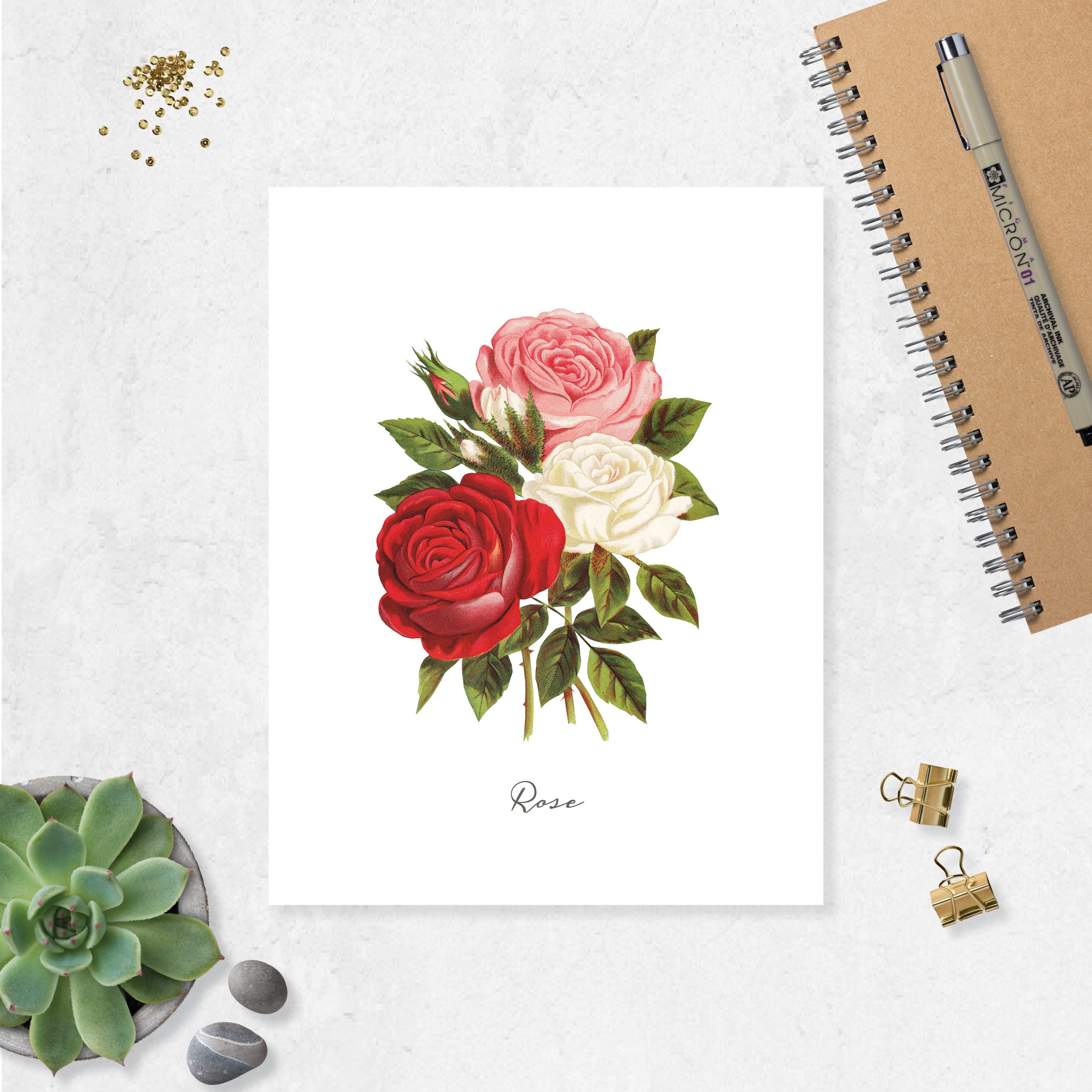 Rose