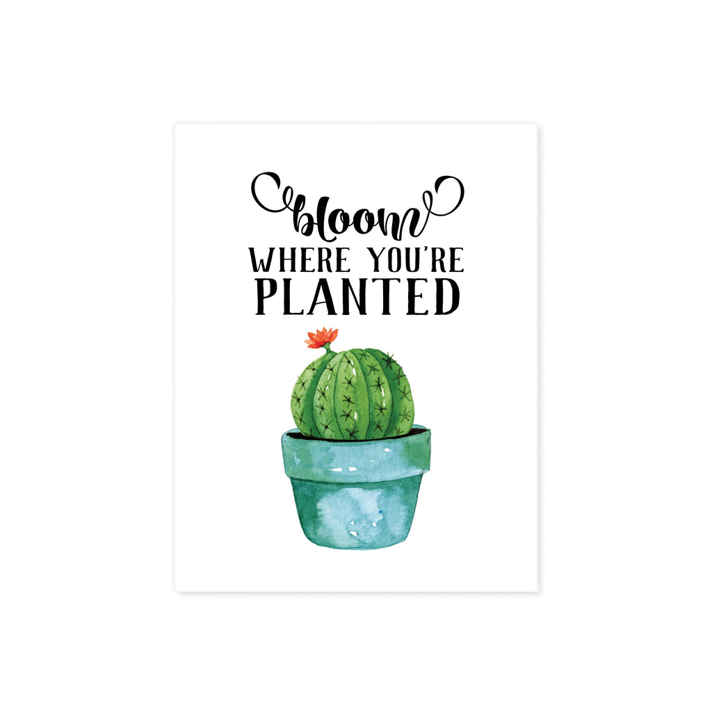 Bloom where you're planted