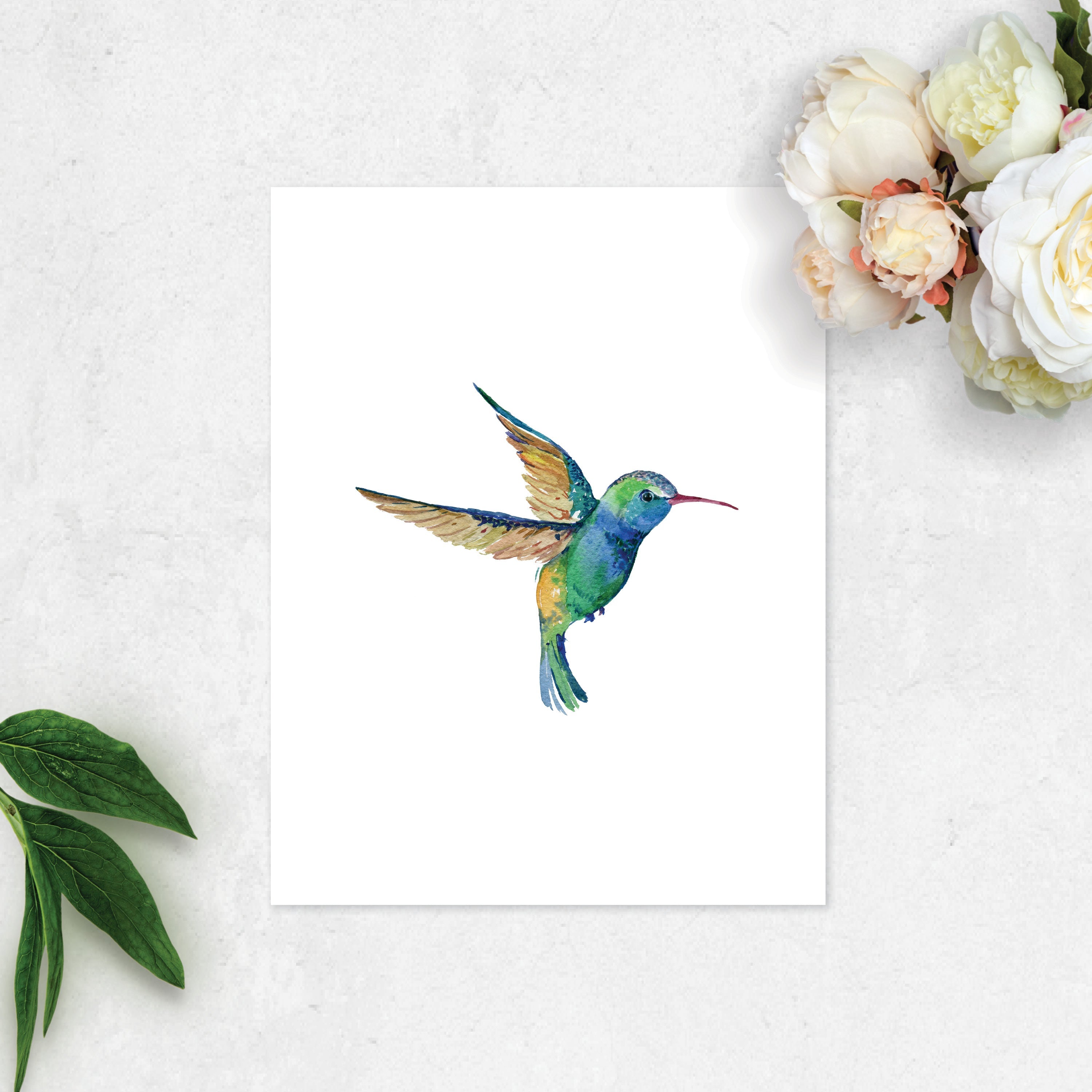 Hummingbird Watercolor Print on White