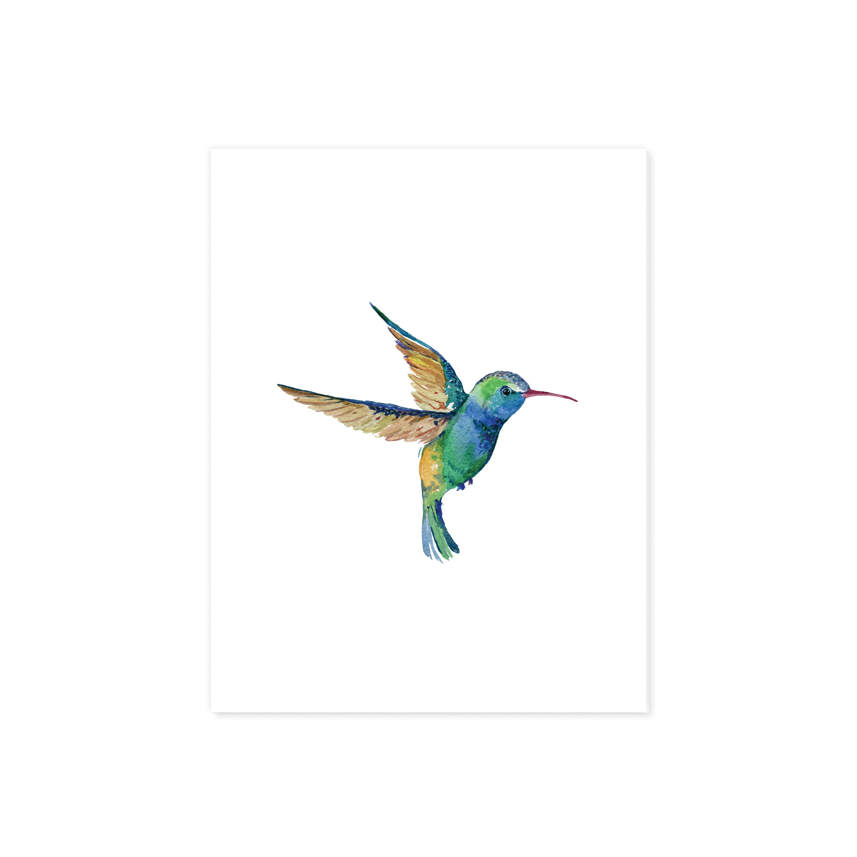 Hummingbird Watercolor Print on White
