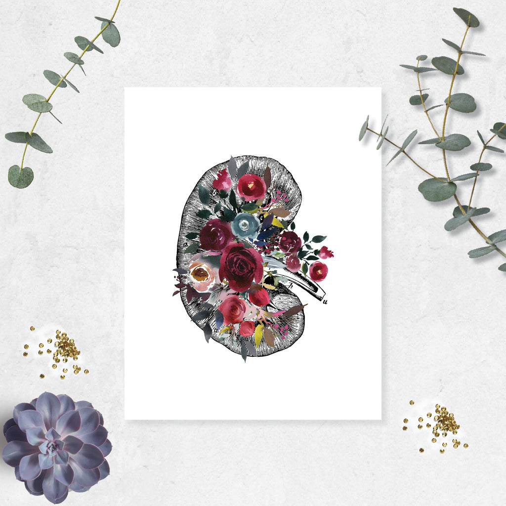 Anatomical Kidney with Berry and Blue Watercolor Tones on White