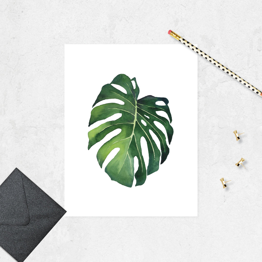 Monstera leaf