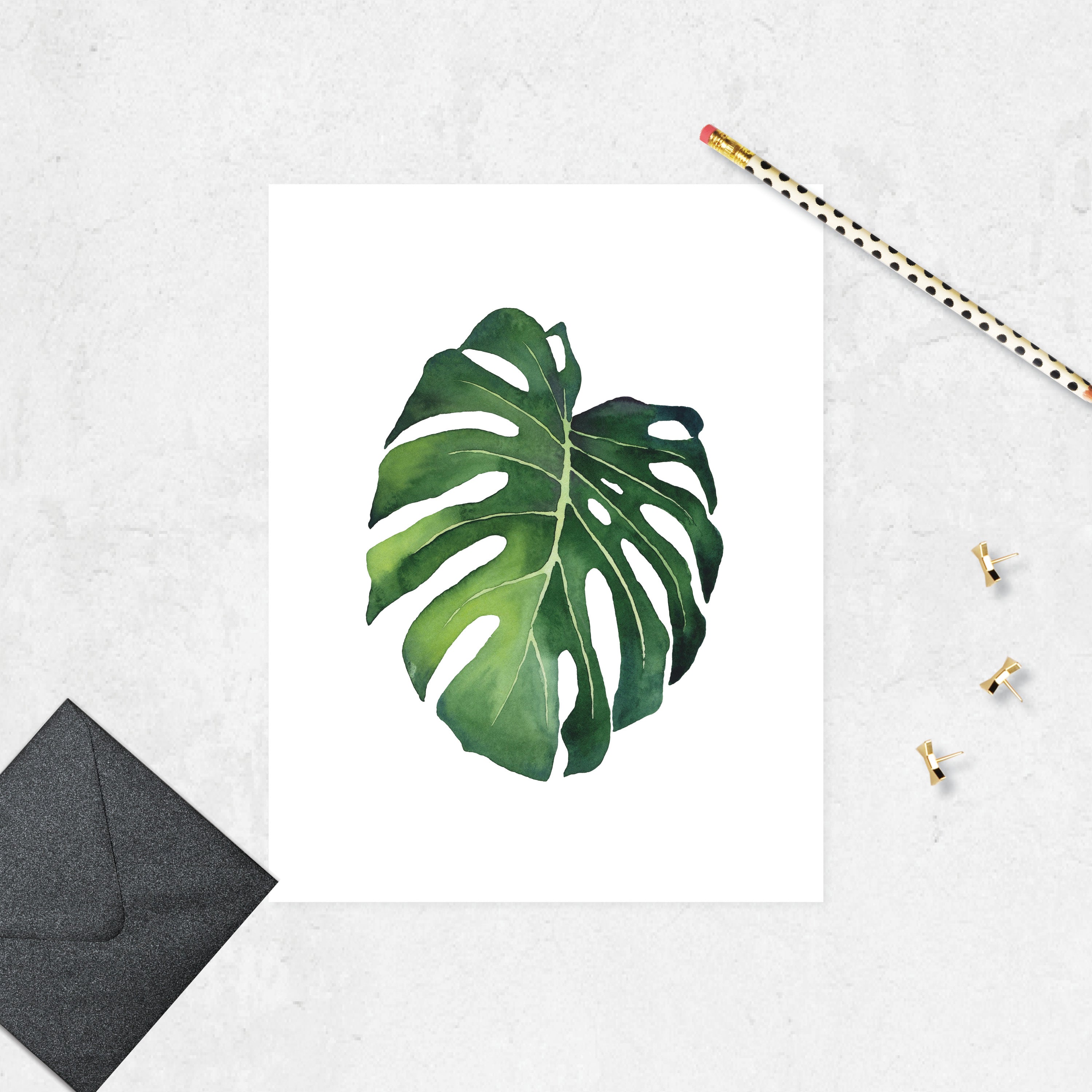 Monstera leaf