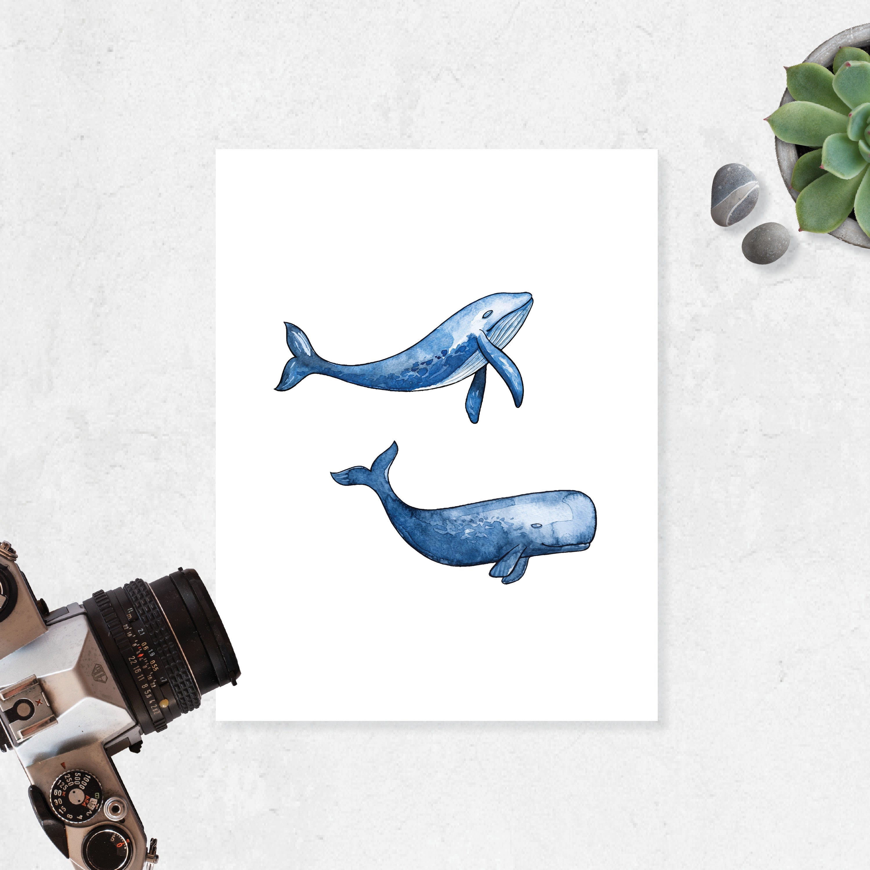 Watercolor Whales